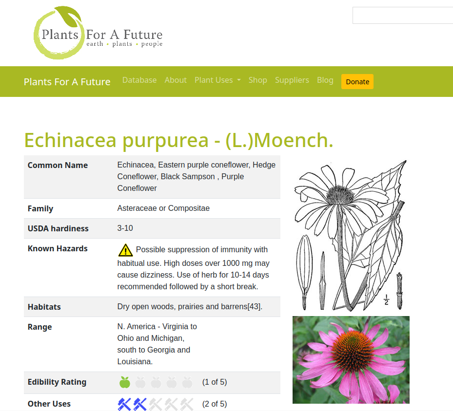 screenshot of echinacea purpurea info page at the website pfaf.org screenshot of echinacea purpurea info page at the website pfaf.org