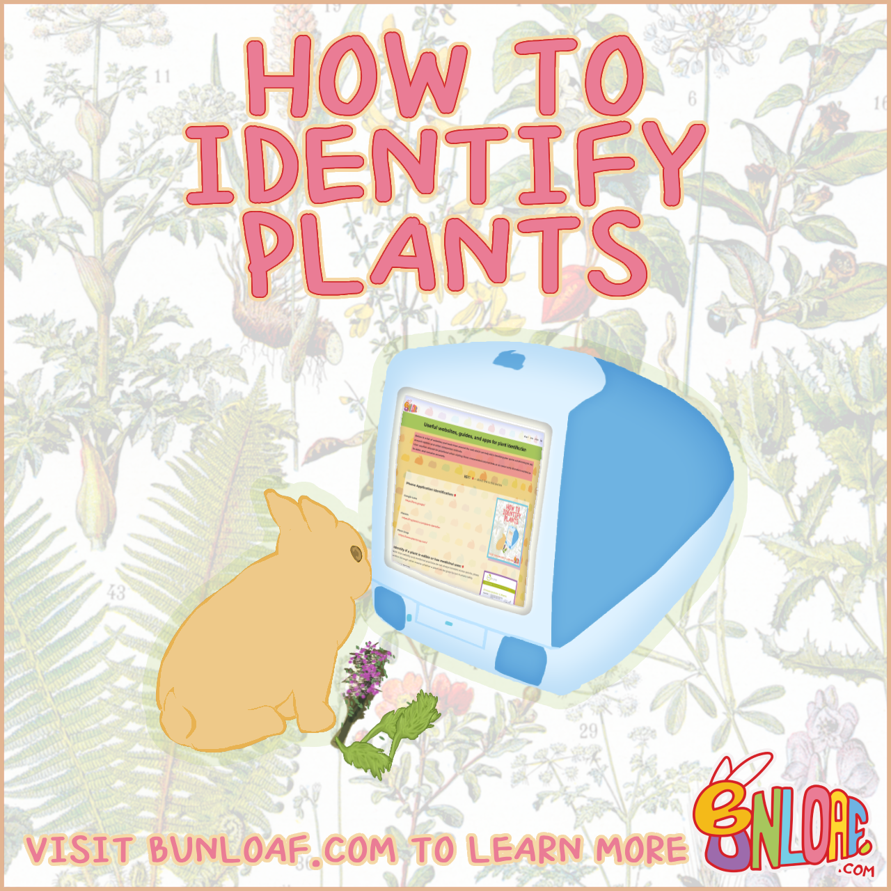 Useful websites, guides, and apps for plant identification